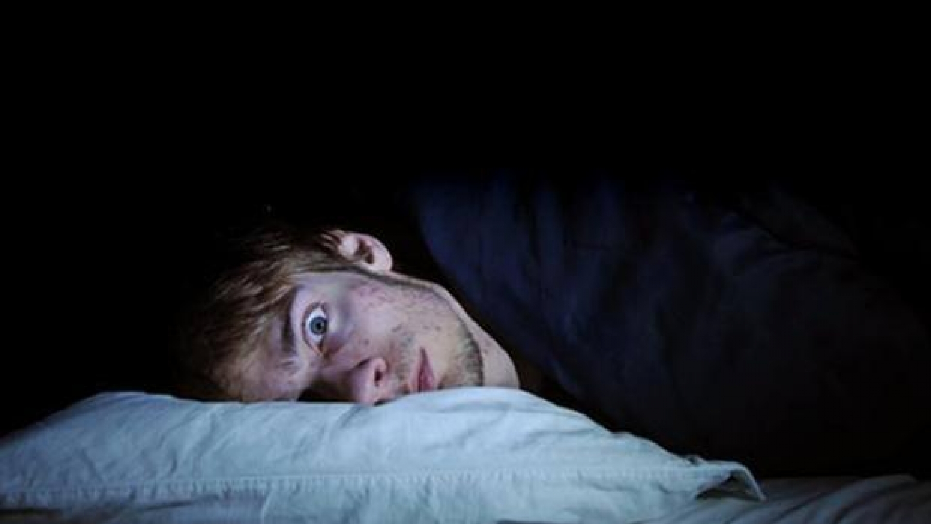 Compañeros nocturnos