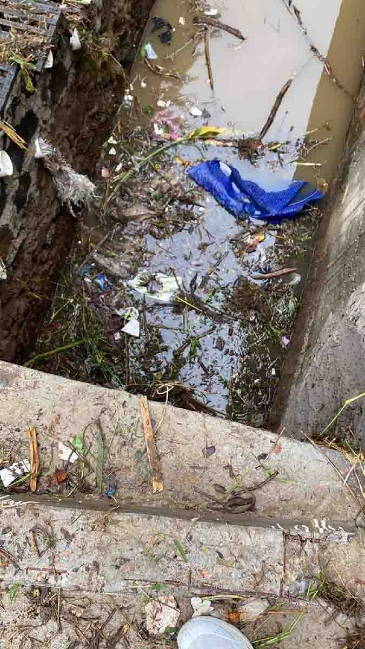 El agua subió más de un metro por la lluvia sabatina
