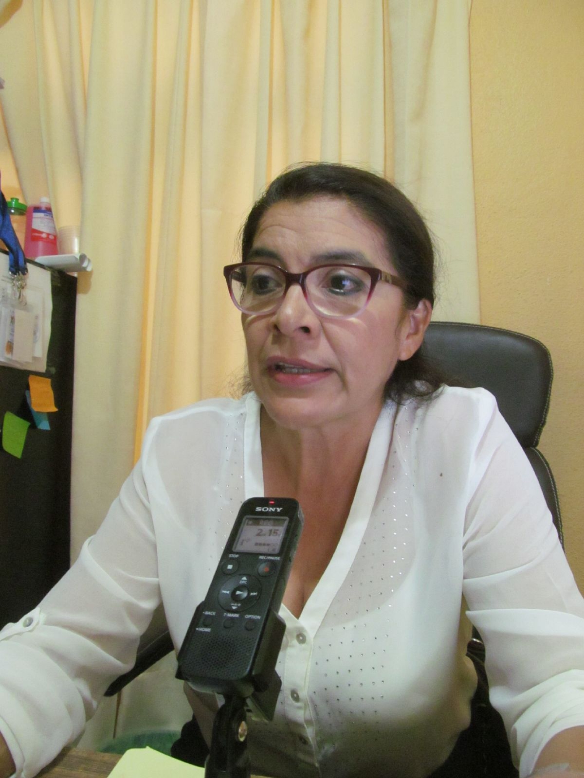 Crece la presencia del mosco transmisor de Dengue en Tlaltizapán