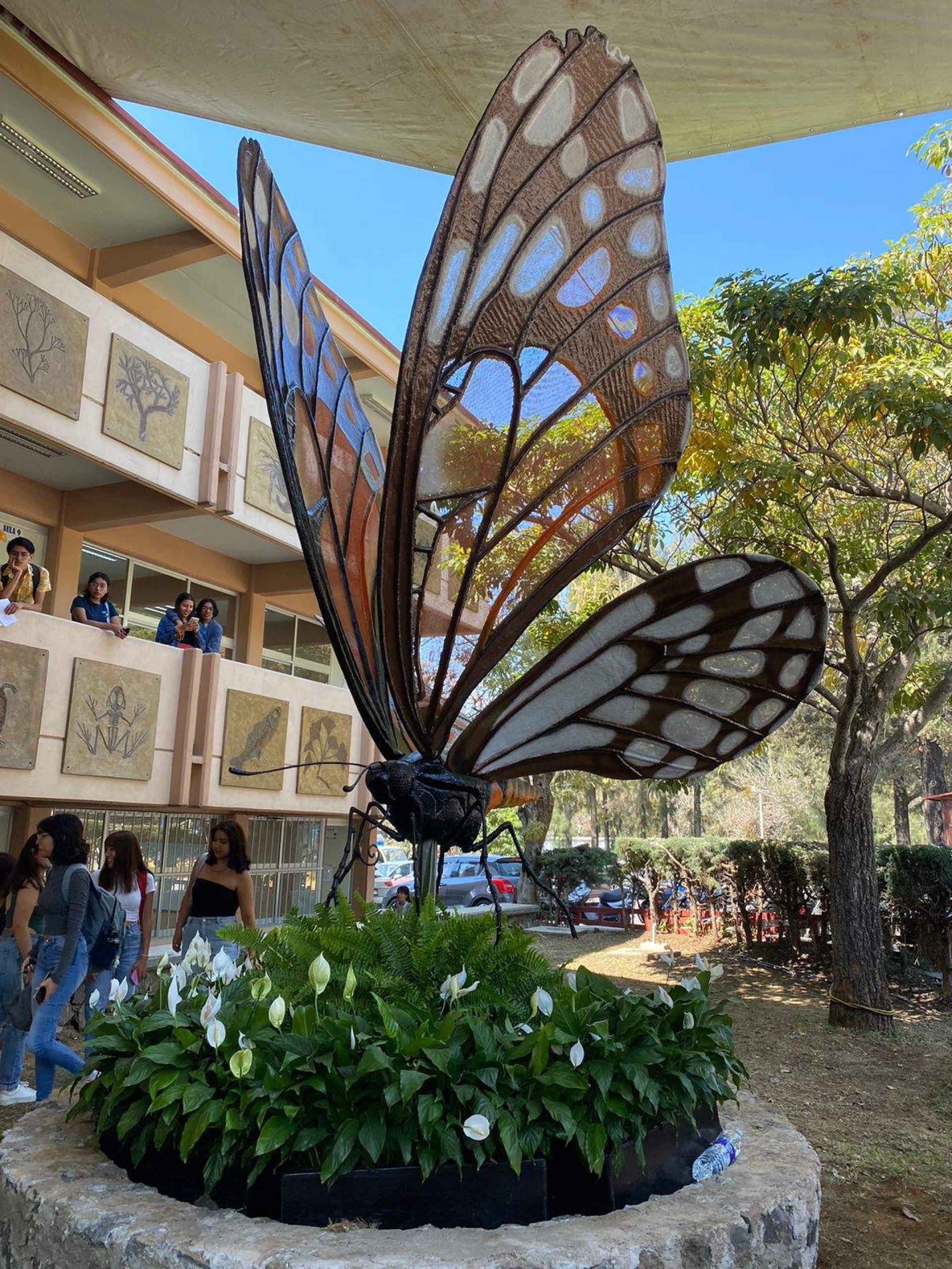 HUGO ORTIZ BLAS Del dibujo a la escultura