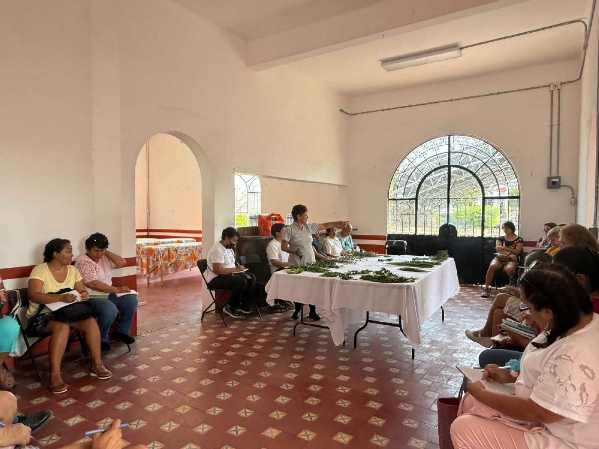 Herbolaria ahorraría hasta 80% de visitas al médico: especialista