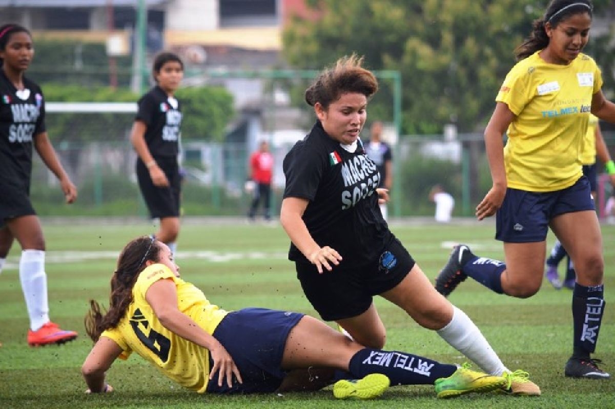 Bull Girls, entre las mejores