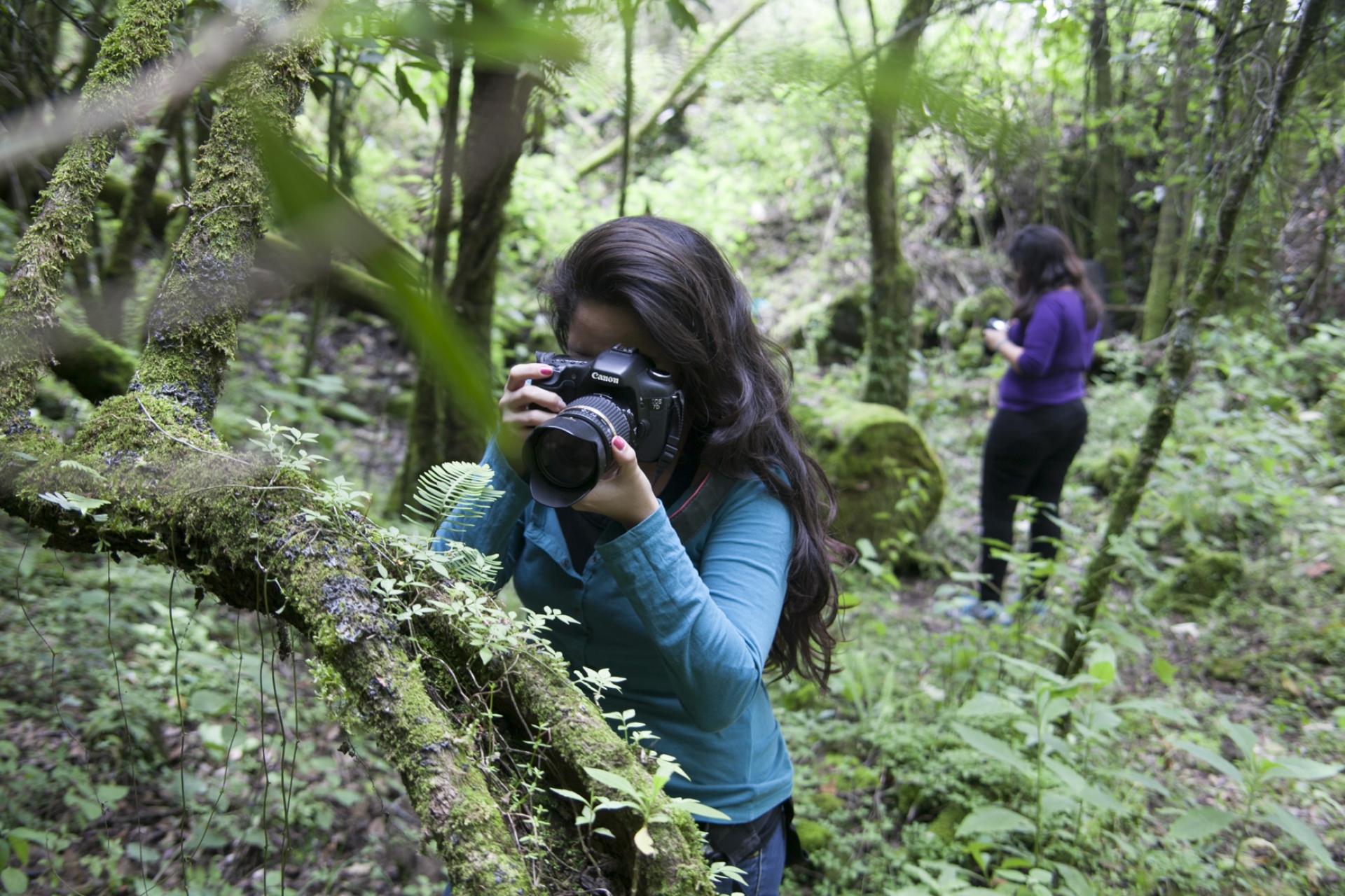 Hacia una perspectiva no convencional del ecoturismo