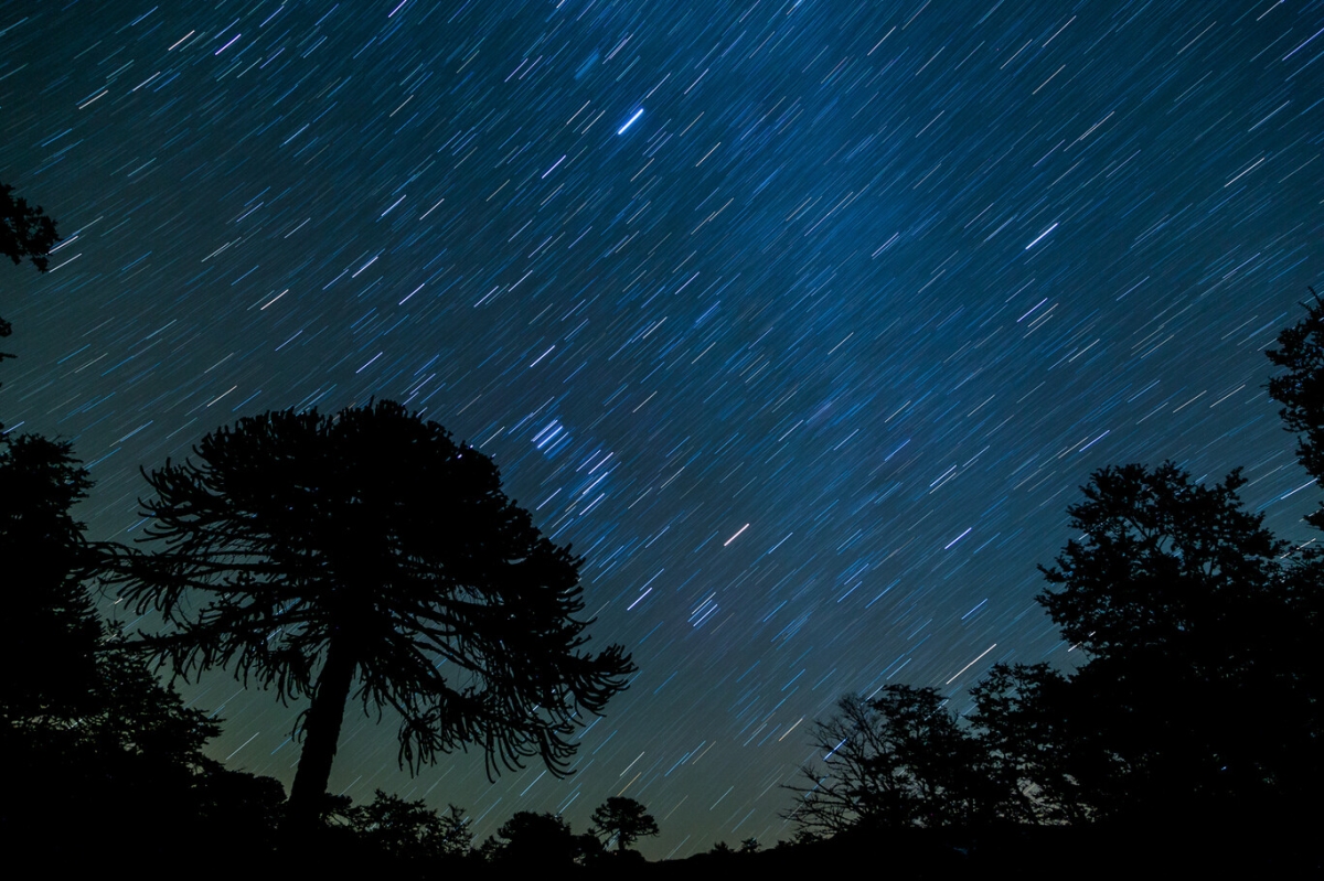¡Ojo aquí! ¿Dónde y cuándo ver la última lluvia de estrellas de este 2022?