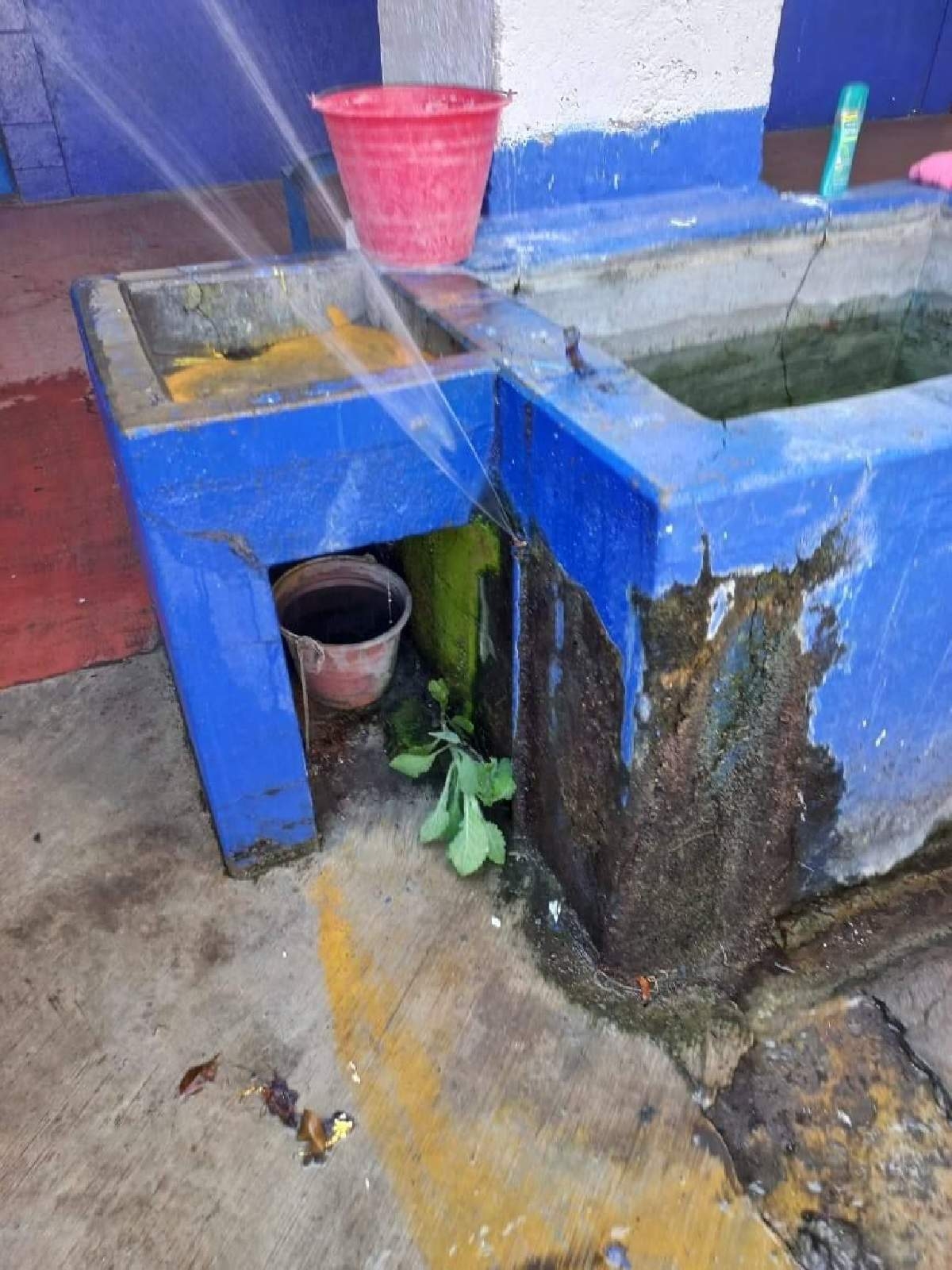 Denuncian robo en primaria de Puente de Ixtla