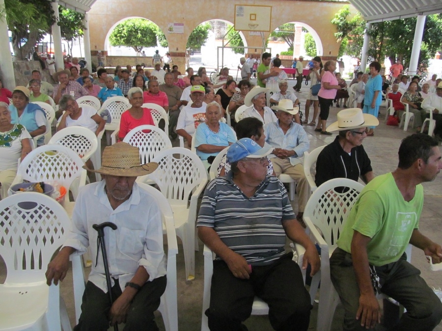 Depurarán programa “65 y Más”