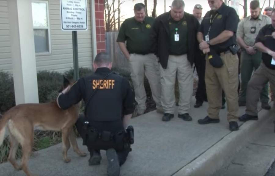 VIDEO: Emotivo 'adiós' a perro policía conmueve a la Red
