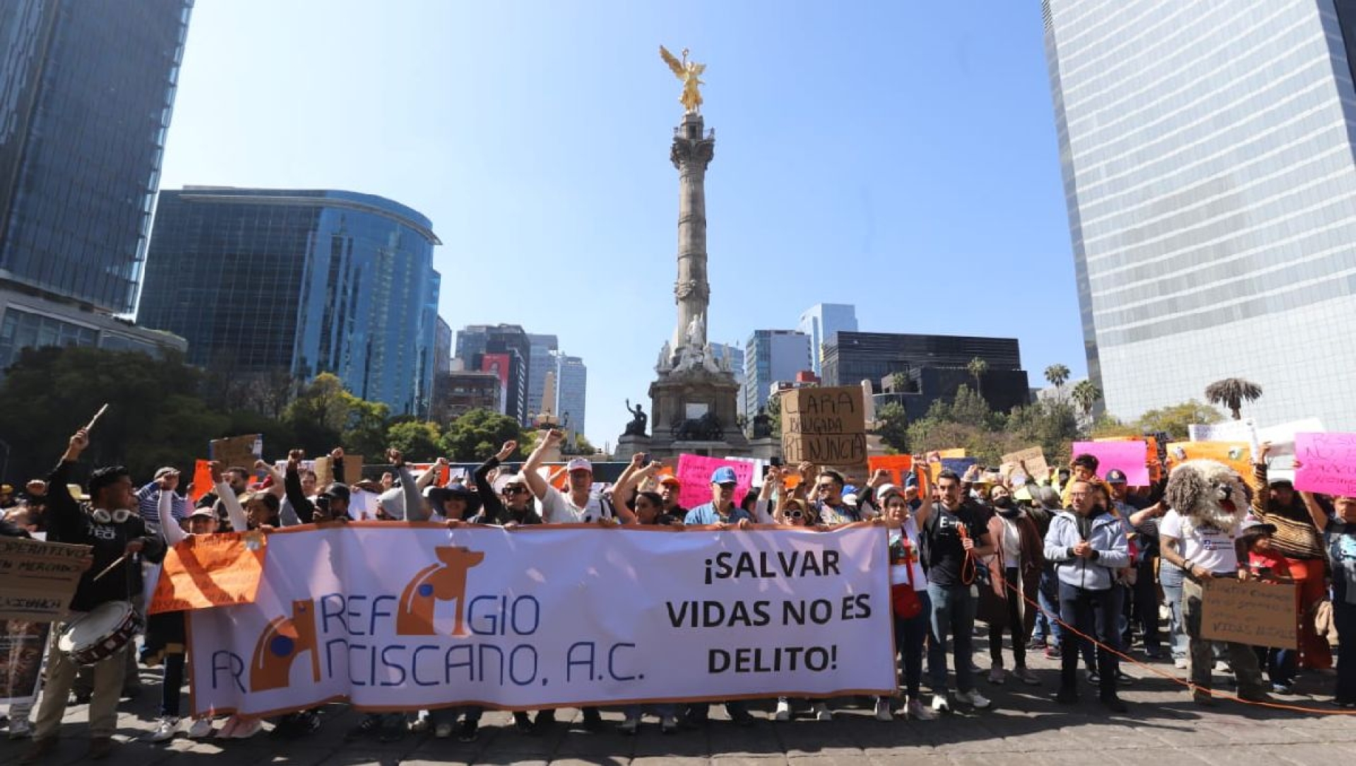 Refugio Franciscano: protestan y exigen devolución de animales en CDMX