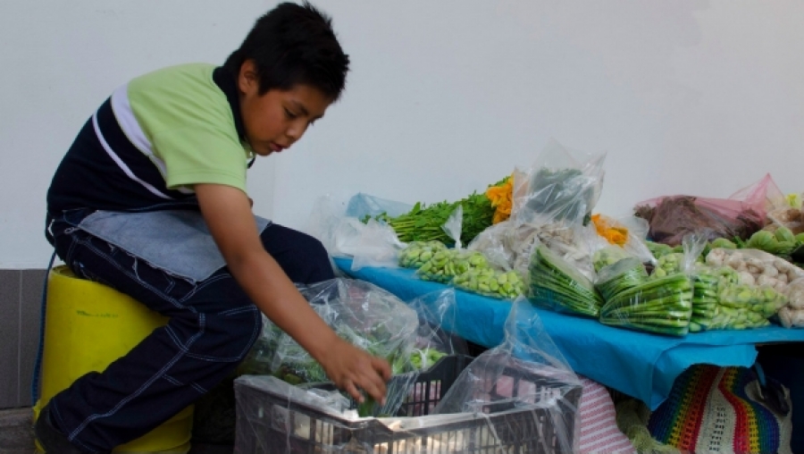 Trabajan casi 2.5 millones de menores en México; la mitad no va a la escuela