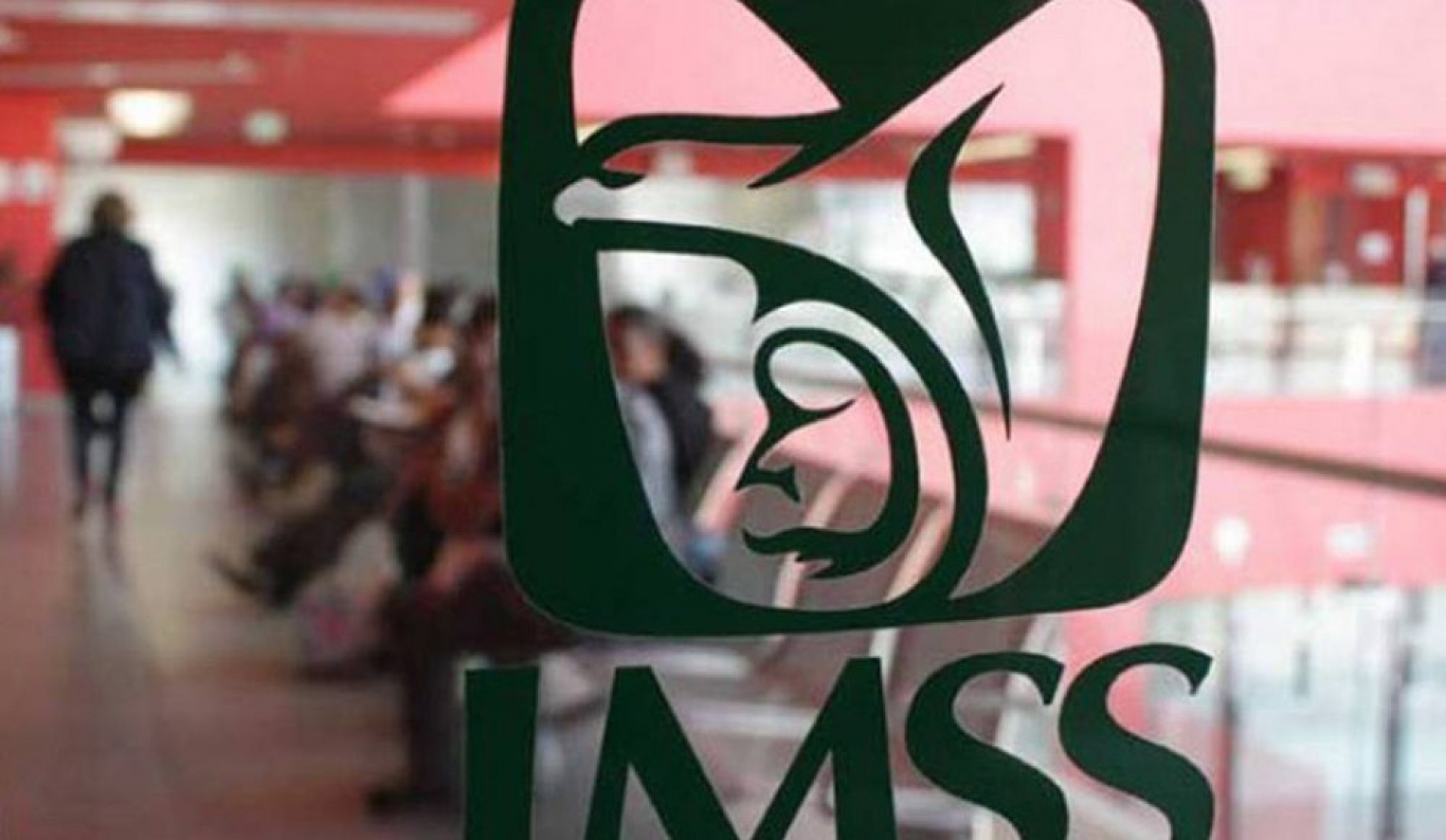 Llama SSM a prevenir la hepatitis