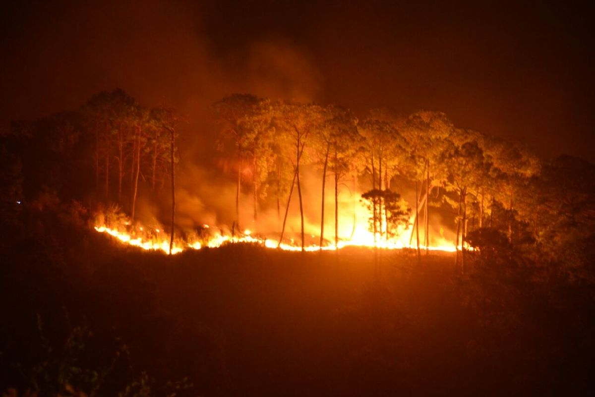 Agresiones al medio ambiente