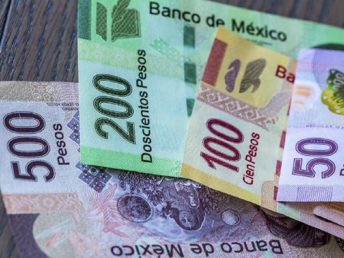 ¿De que vivimos y en que gastamos los morelenses?