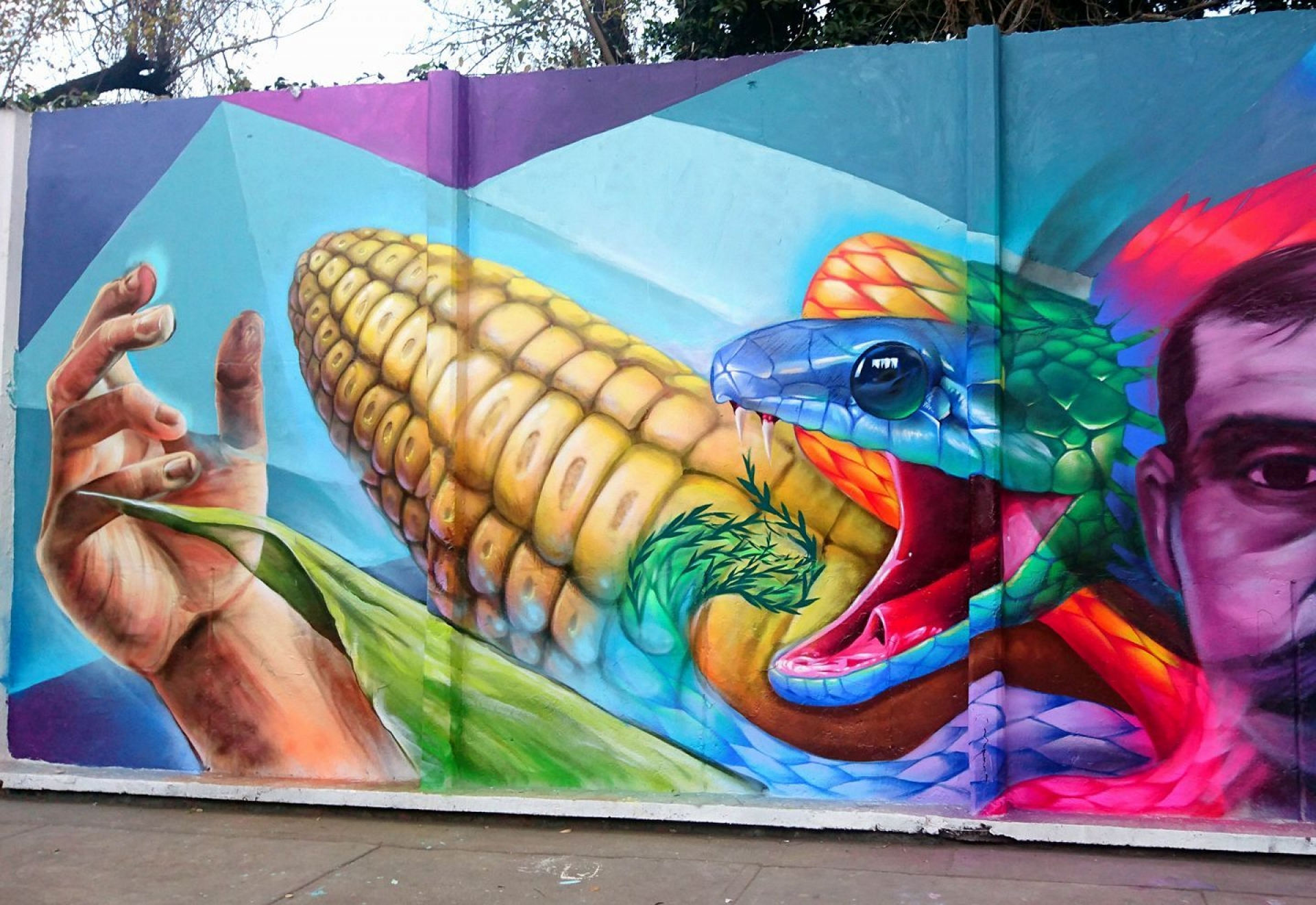 La lengua