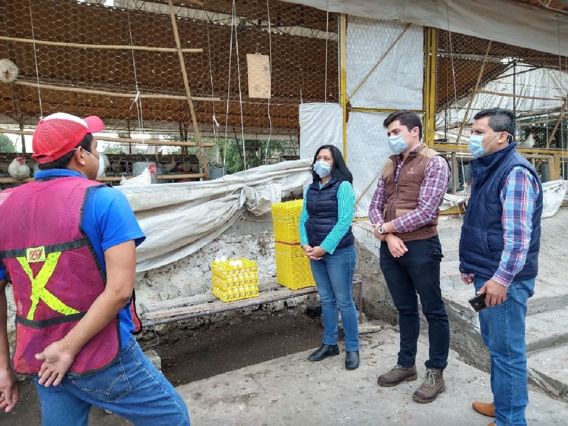 Recorre Margarita Galeana granja de gallinas de libre pastoreo