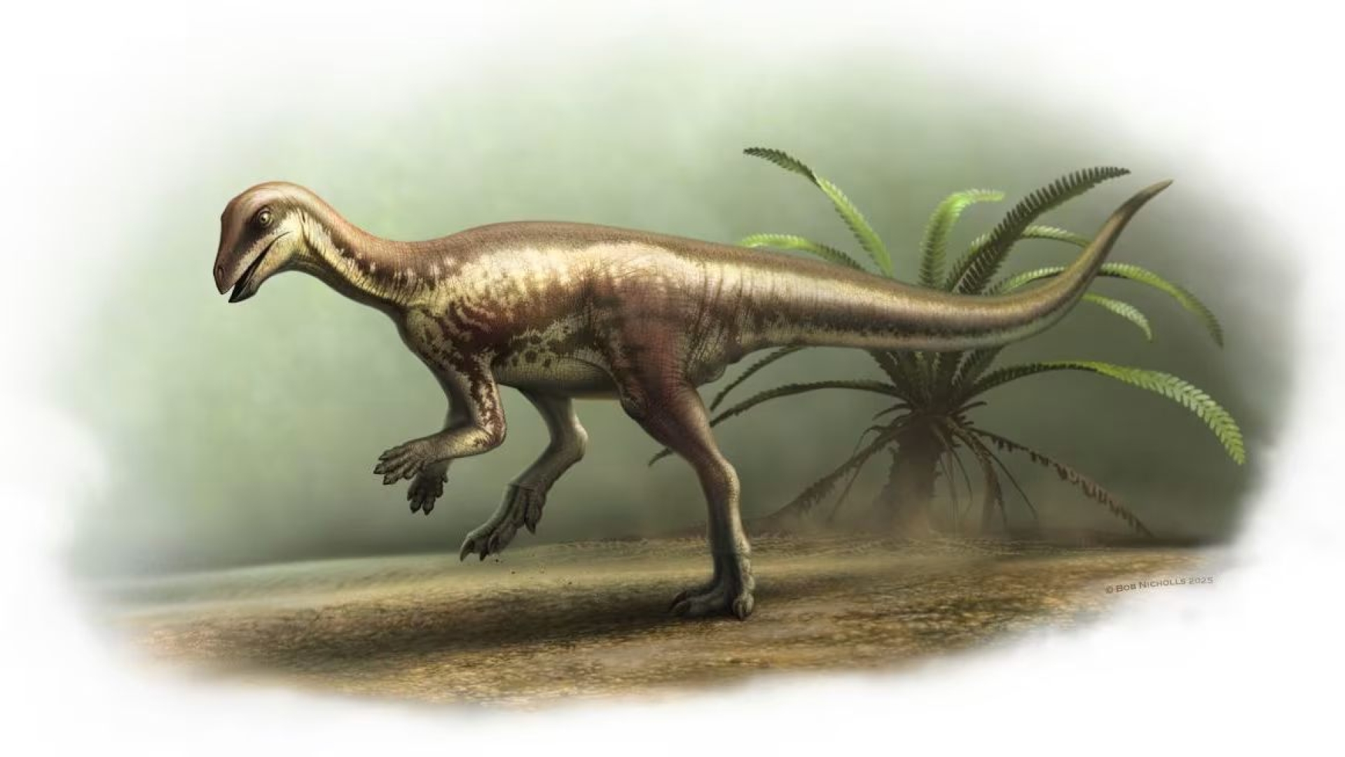 Descubren nueva especie pequeña de dinosaurio del Jurásico Superior en Colorado