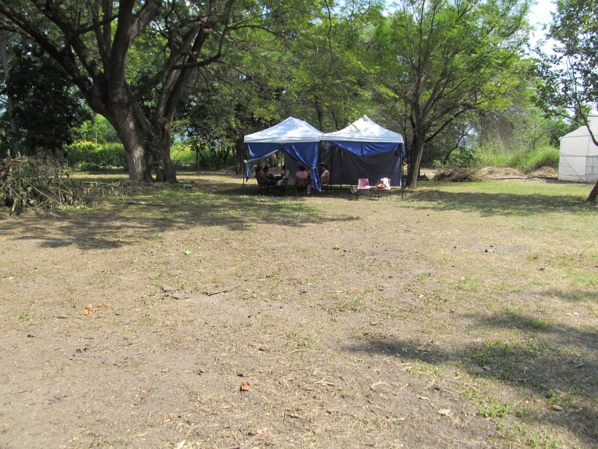 Primaria “Diez de Abril” podría reiniciar clases en un vivero