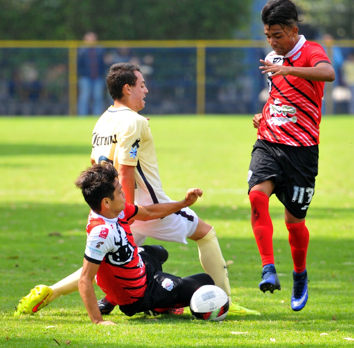 Athletic Club Morelos, a reconciliarse con su afición