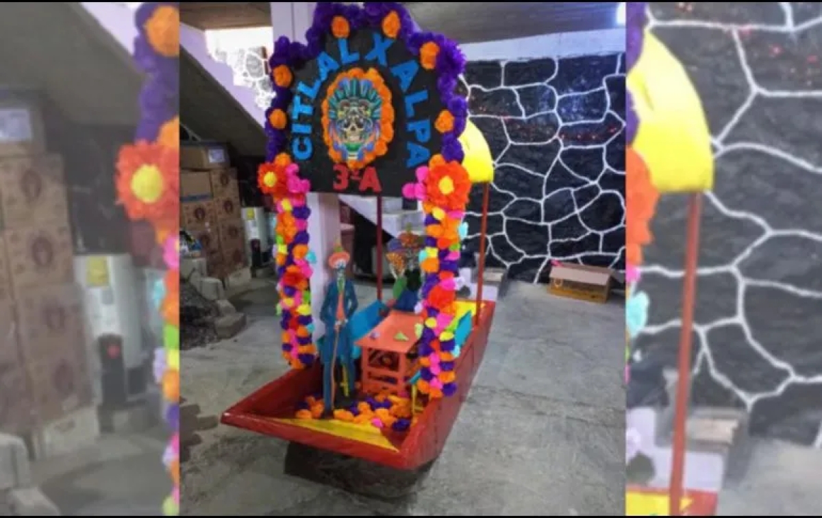 Conoce la trajinera de un niño de kínder que arrasa en TikTok