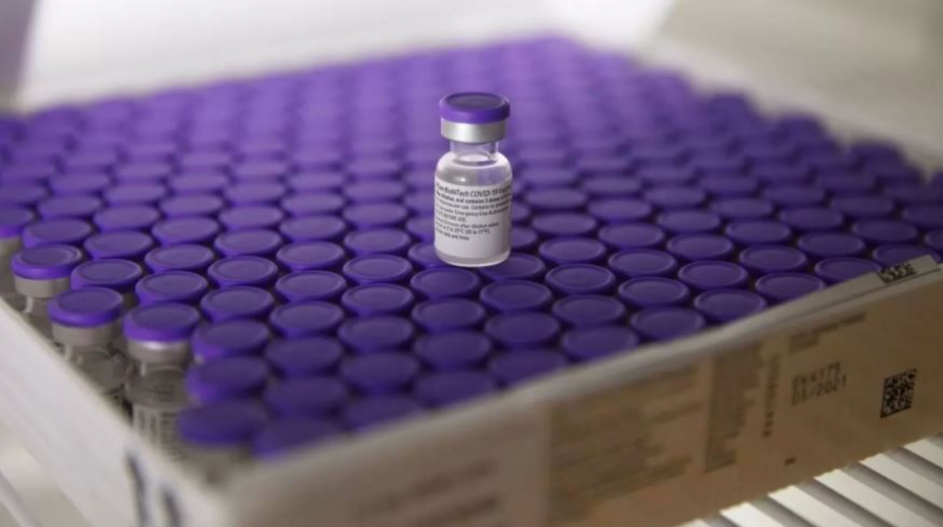 Vacuna COVID-19 de Pfizer avanza; es respaldada por Agencia Europea de Medicamentos