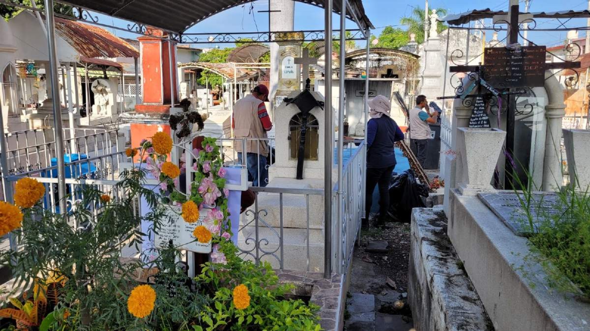 Inicia saneamiento de panteones para prevenir dengue en Cuautla