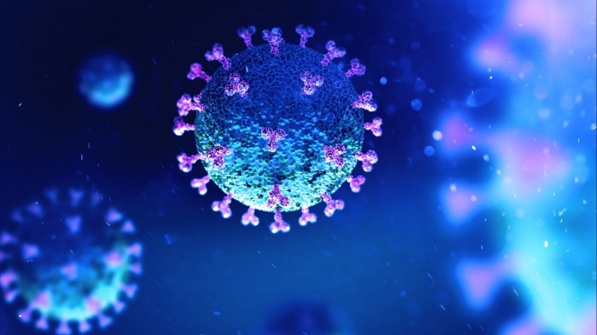 Estamos cerca de alcanzar los 100 mil casos confirmados de coronavirus en el mundo: OMS