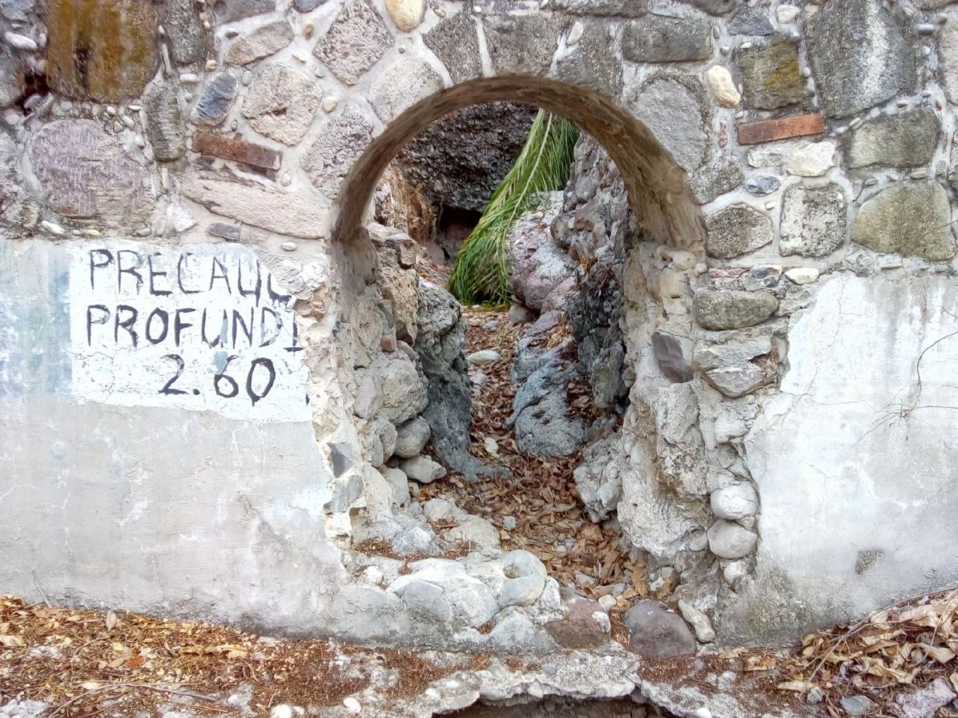 Tratarán de reactivar los tres manantiales de Cuauchichinola