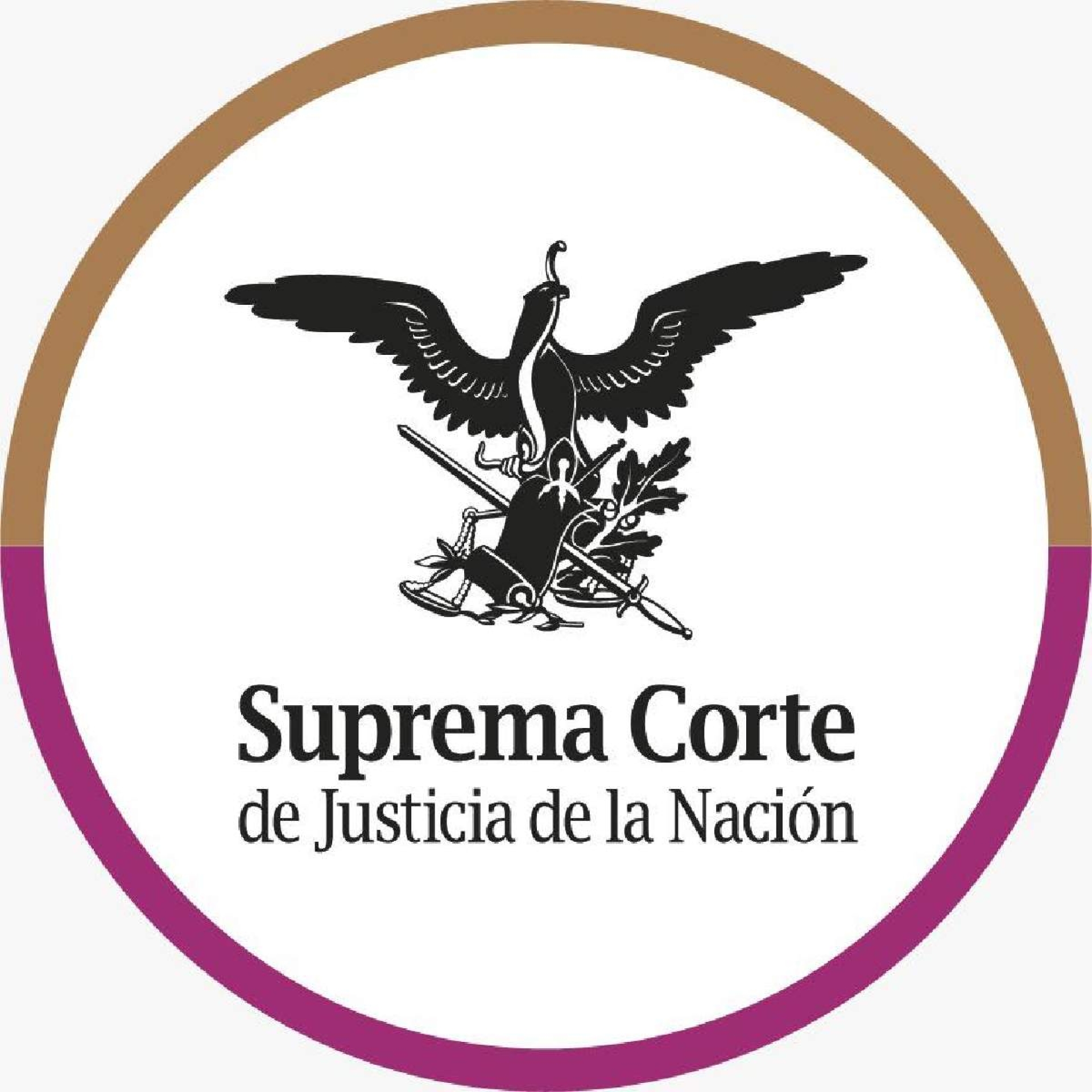 Uso de arma exclusiva de fuerzas armadas en delito es agravante: SCJN