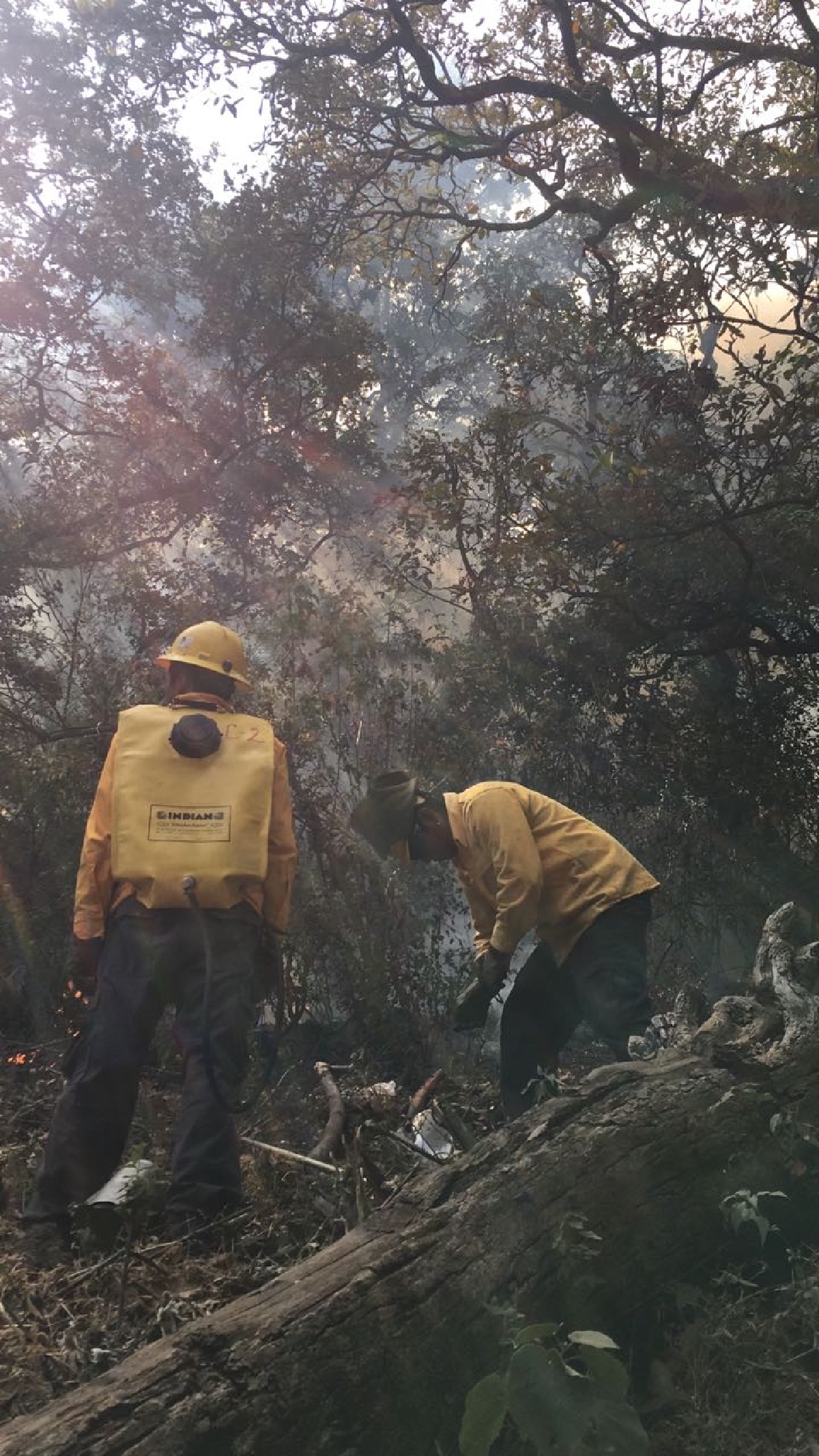 Incendio en el Cerro de la Herradura afectó 15 hectáreas