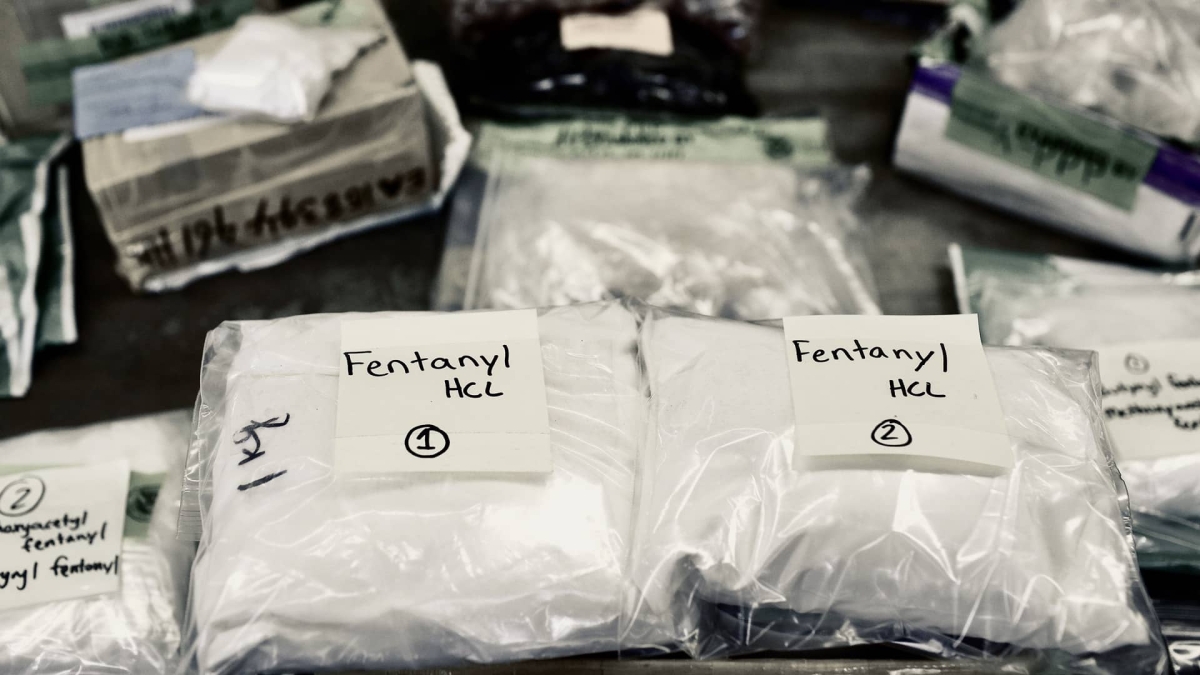 Decomiso de fentanilo ha aumentado 525% en México: Sedena