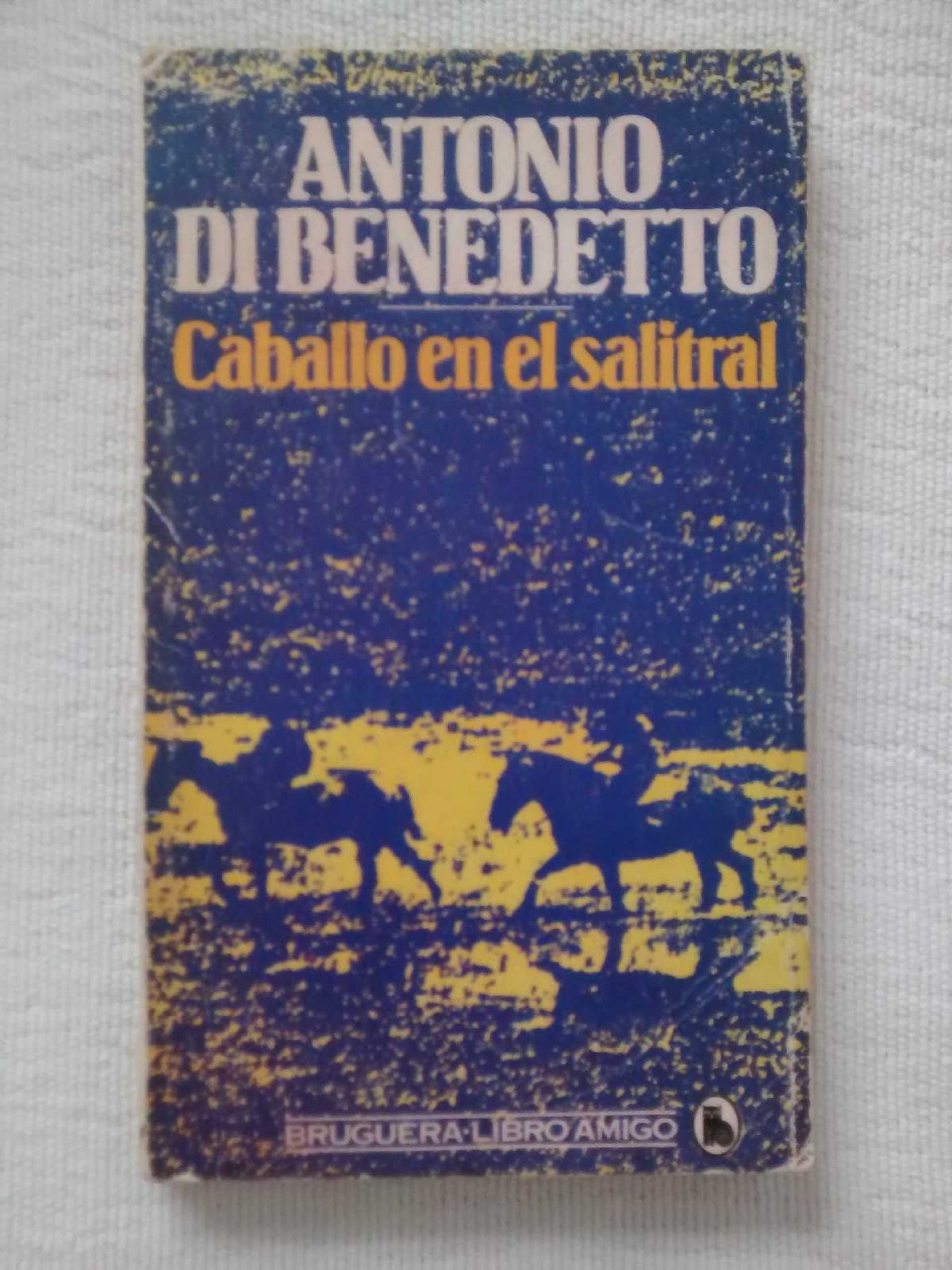 Caballo en el salitral