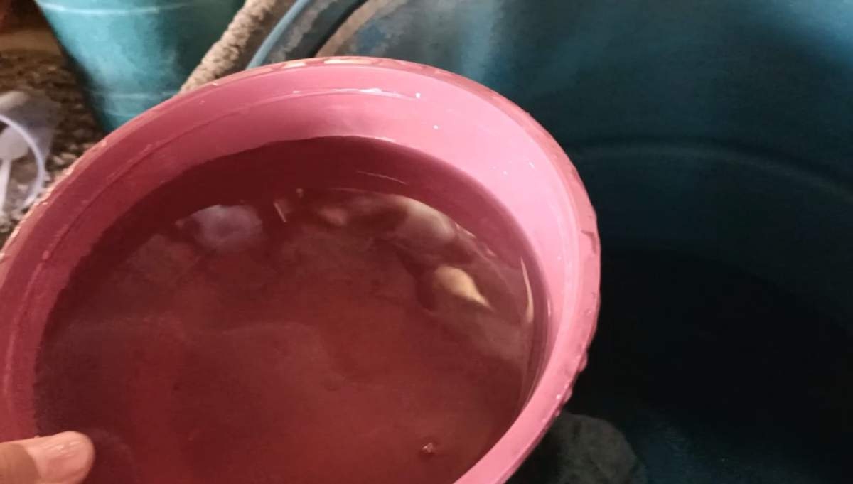 Vecinos de la colonia Xochicalco siguen recibiendo agua sucia