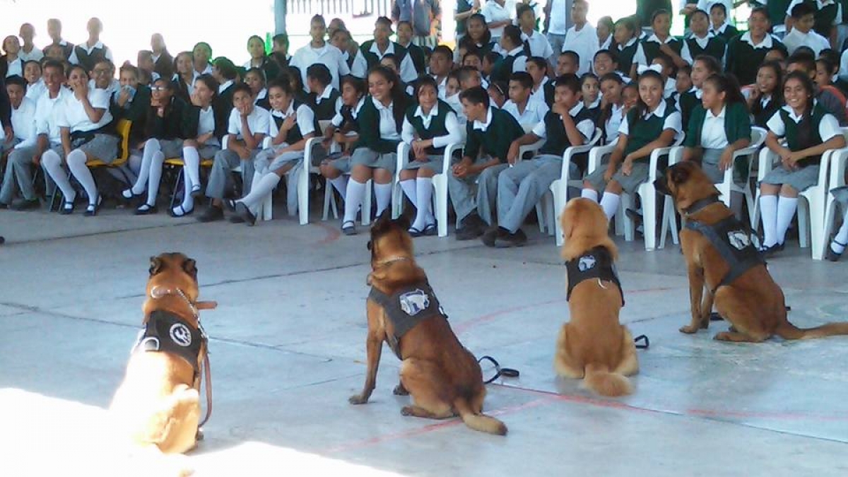 Realizan demostración de defensa personal y operativos con perros adiestrados en Axochiapan
