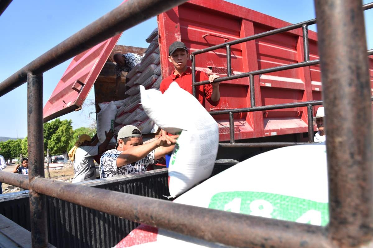 Guerra entre Ucrania y Rusia perjudica a productores