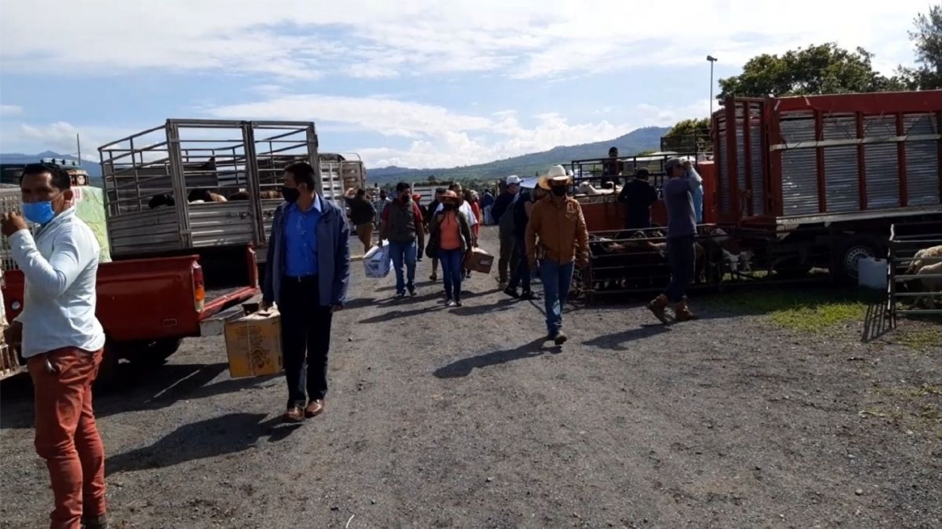 Reanudan actividades del tianguis ganadero de Yecapixtla