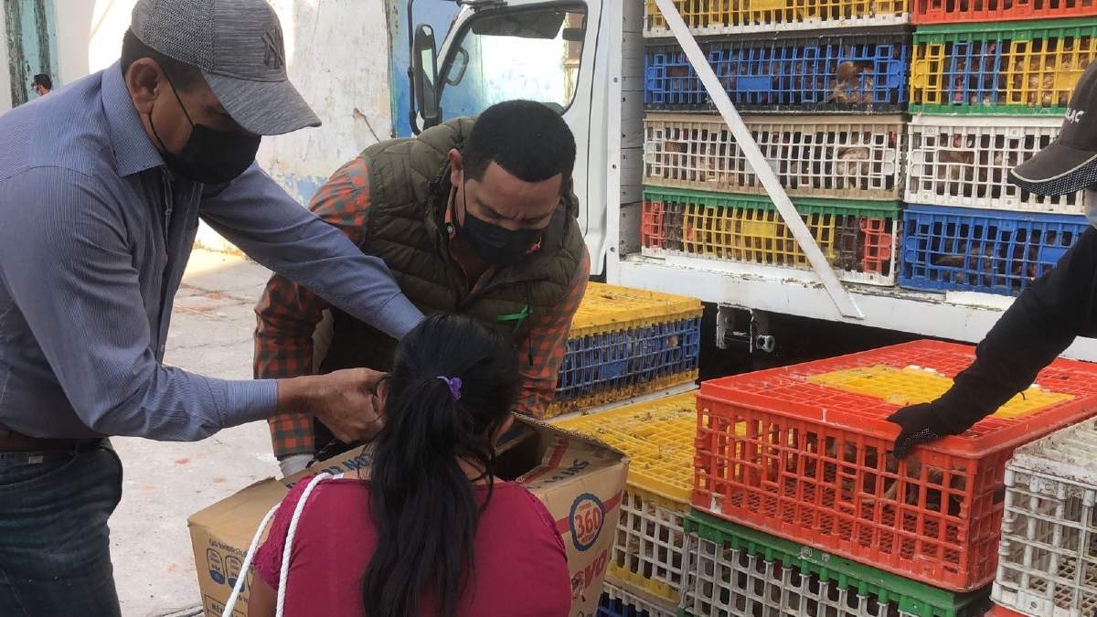 Ayuntamiento de Jojutla entrega paquetes de aves a bajo costo