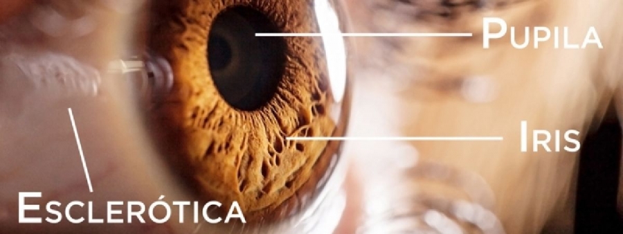 Ojos que no ven, color e imágenes que no existen