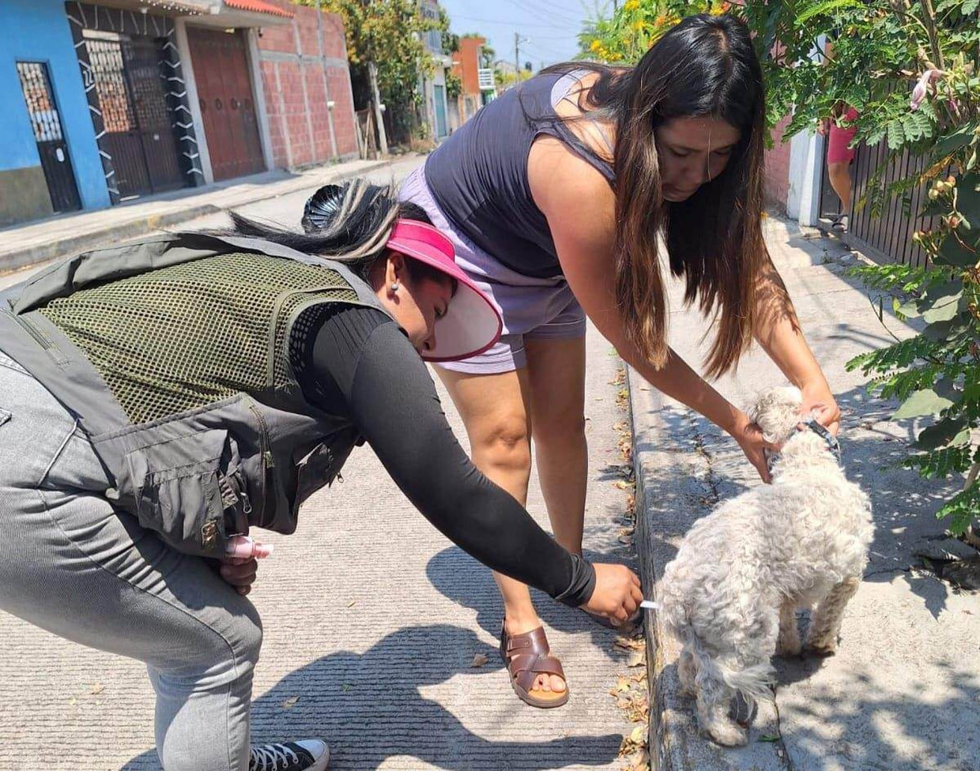 Amplían cobertura de vacunación antirrábica en la región oriente