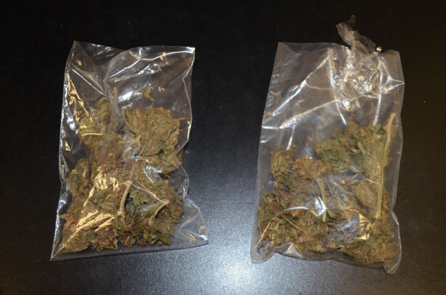 Le habrían encontrado dos bolsas con marihuana