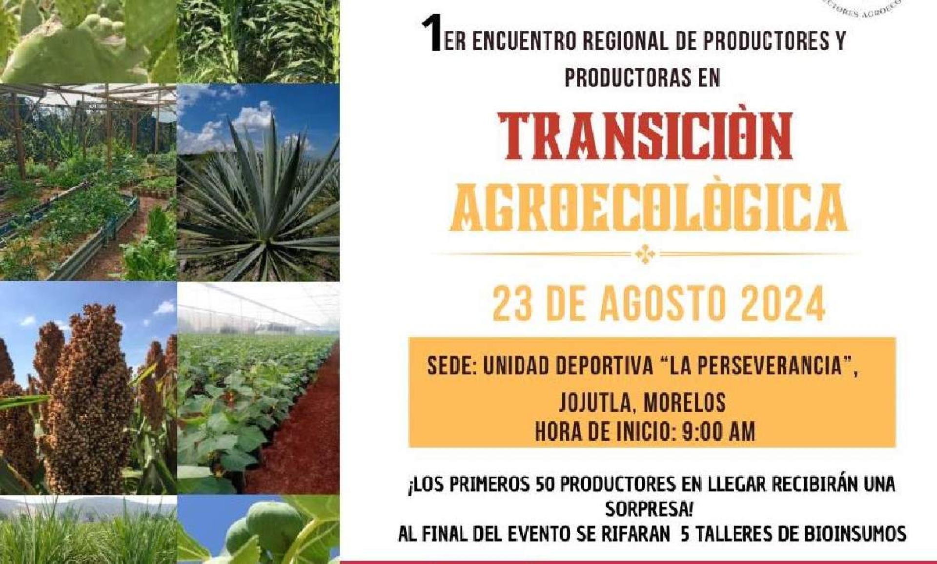 Realizarán foro regional de transición agroecológica en Jojutla