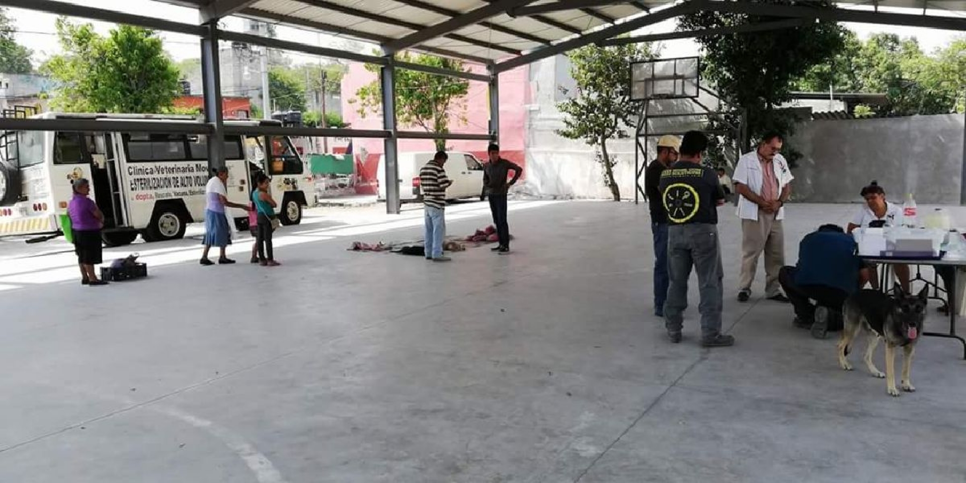 Realizan campaña de esterilización canina y felina en Miacatlán