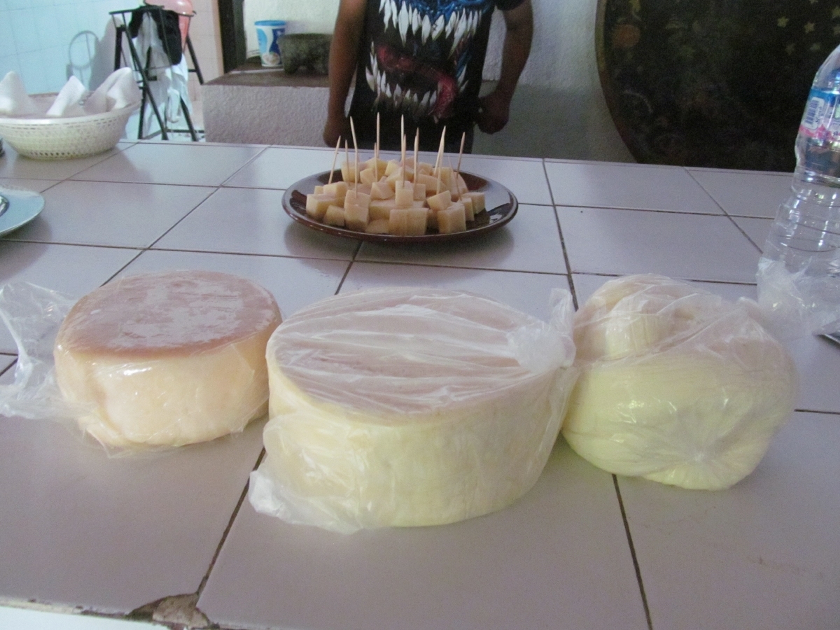 Comienza la actividad cultural en la Feria del Queso de Tehuixtla
