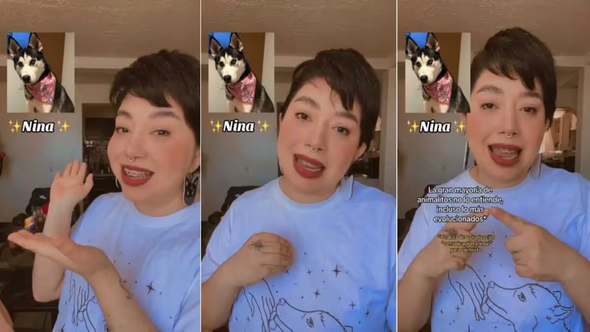 Joven se viraliza en TikTok al afirmar que puede comunicarse con perros