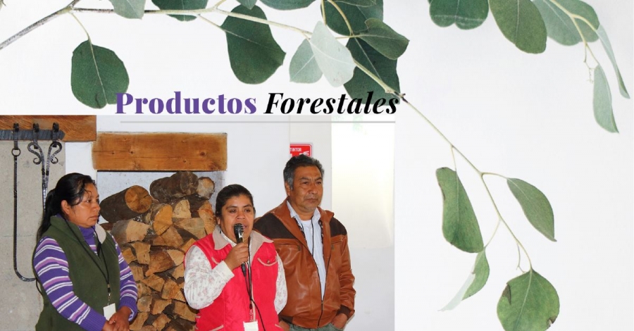 Participa UAEM en encuentro nacional de manejadores de productos forestales