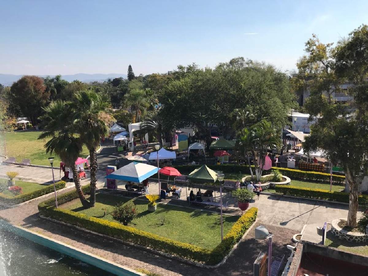 Promueve CCyTEM consumo local mediante eco mercado en el Parque Ecológico San Miguel Acapantzingo