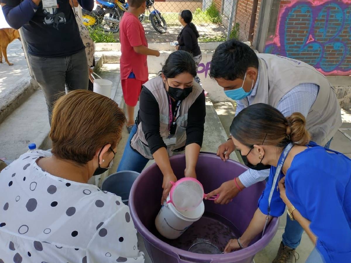 Refuerzan medidas para combatir el dengue en Jojutla