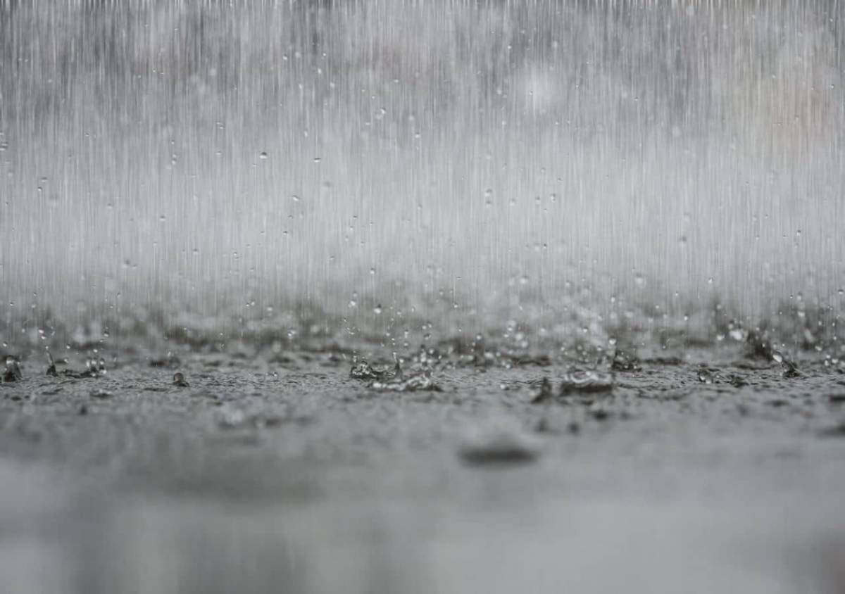 Lluvias afectaron terrenos y un vivero en comunidad de Tlaquiltenango