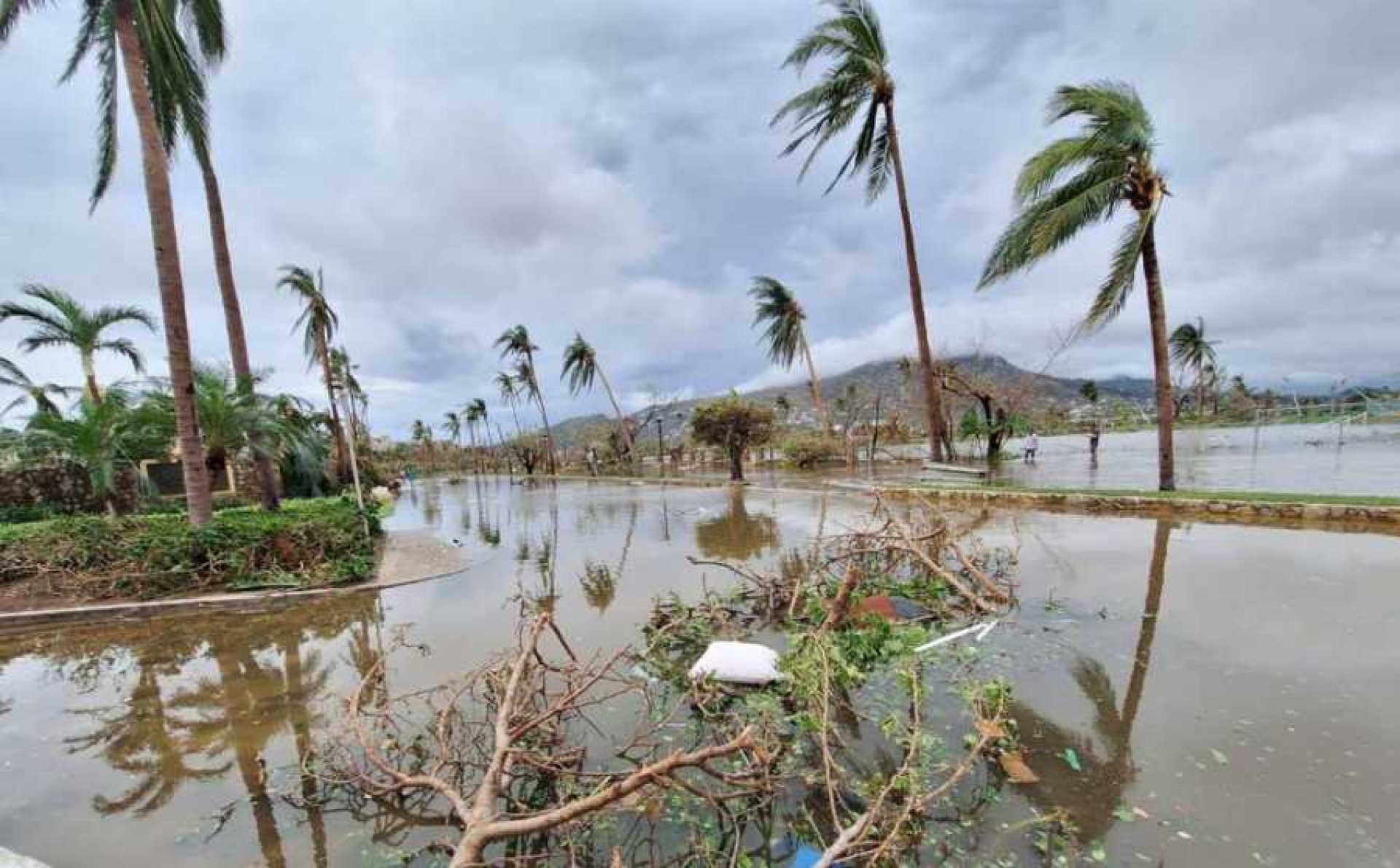 Centros de acopio para damnificados de 'Otis': ¿Dónde están y qué llevar?