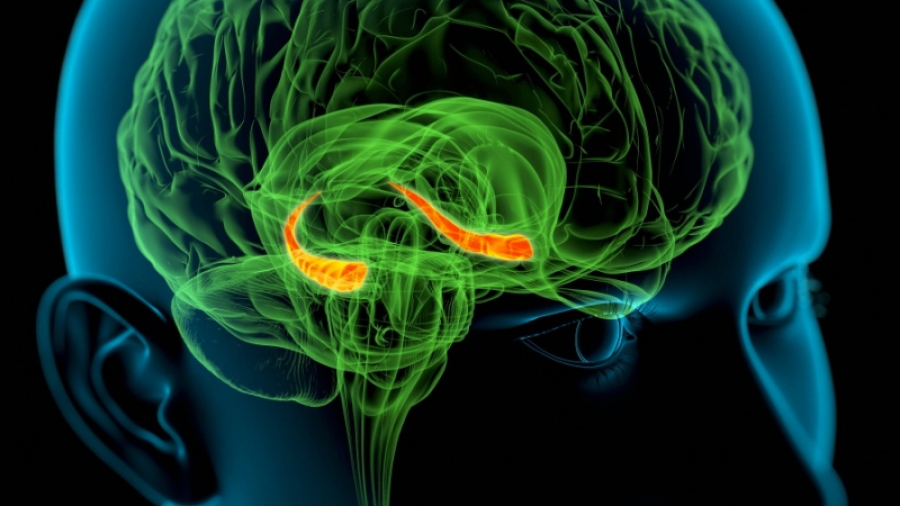 Un experimento pionero tratará de resucitar el cerebro de 20 pacientes clínicamente muertos