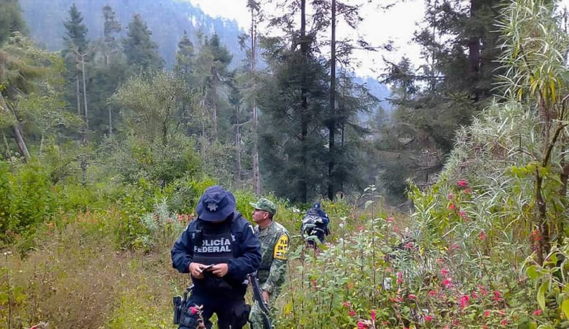 Abandonan un torso en Huitzilac