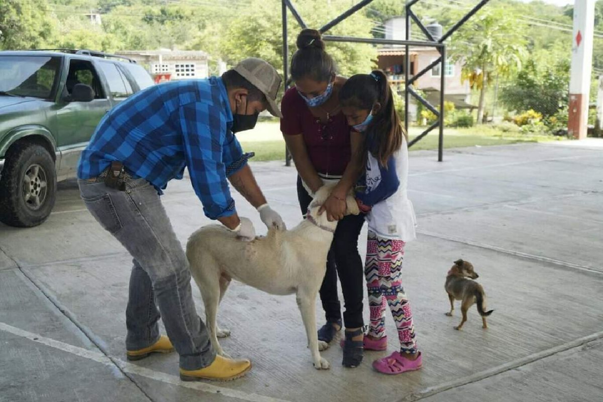 Buscan aplicar mil 200 vacunas antirrábicas en Tetecala